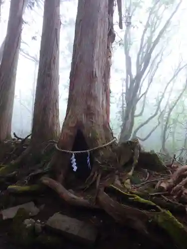 戸隠神社奥社(長野県)