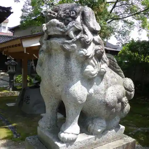 金比羅宮天満宮天神社の狛犬