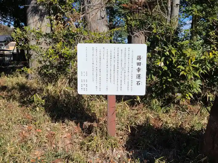 中蒔田椋神社(埼玉県)