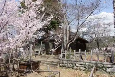 新城藤原神社の自然