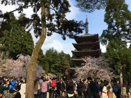 醍醐寺の塔