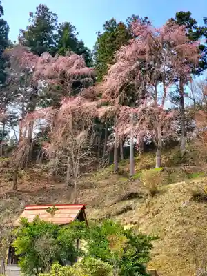 三春大神宮(福島県)