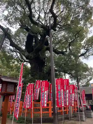 住吉大社(大阪府)