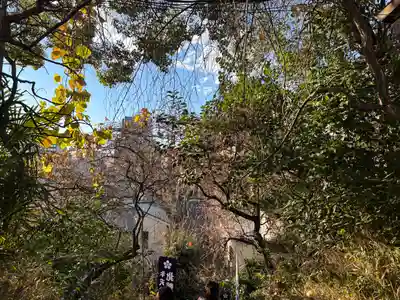 牛天神北野神社(東京都)