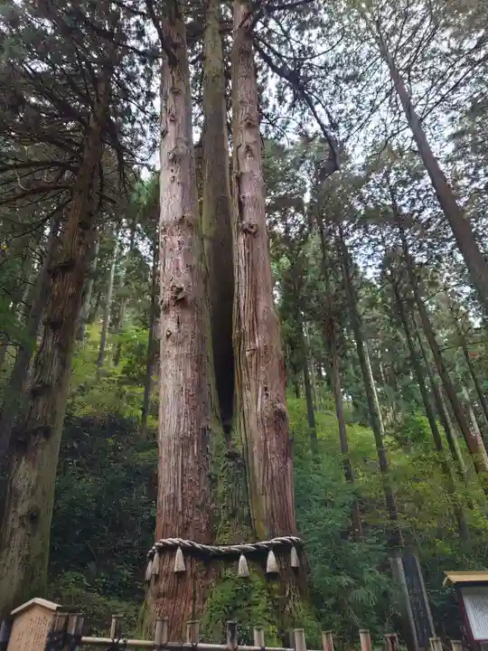 御岩神社(茨城県)