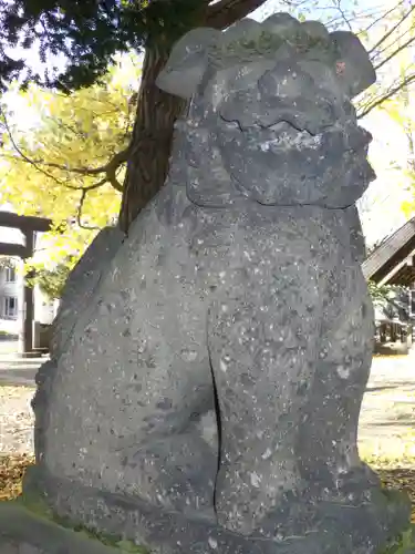 江南神社の狛犬