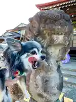 伊達神社の動物