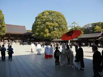 明治神宮(東京都)