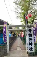 母智丘神社の鳥居