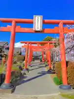 藤丸稲荷大明神の鳥居