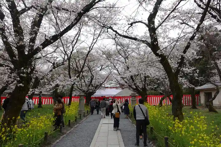 平野神社(京都府)