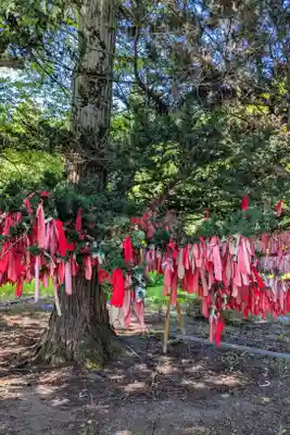 卯子酉神社の自然
