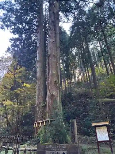 御岩神社(茨城県)
