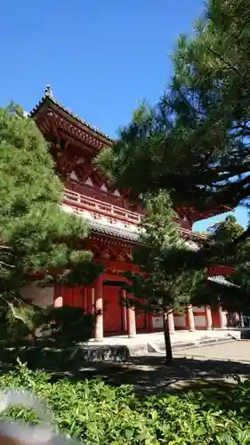 大徳寺の山門