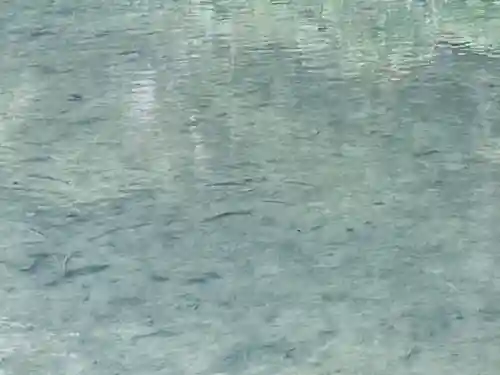 横山不動尊の庭園