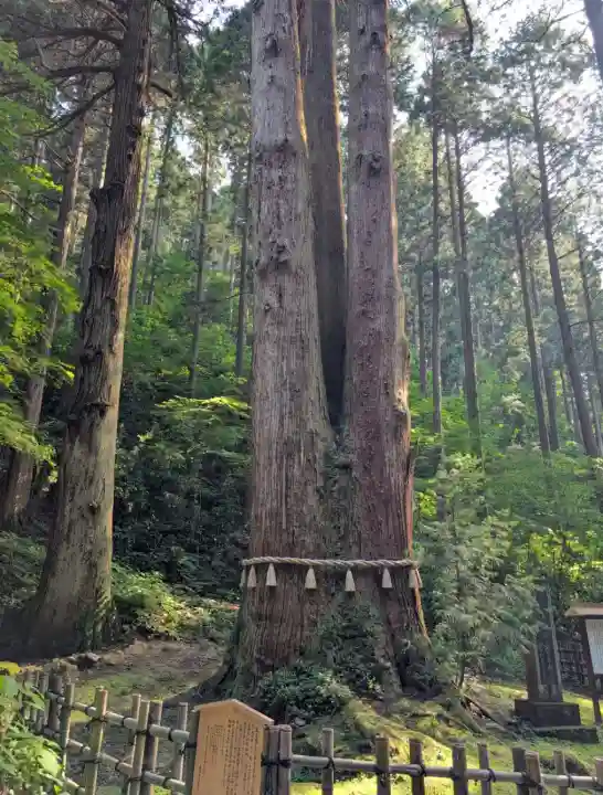 御岩神社(茨城県)