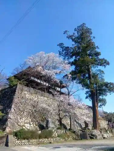 関善光寺の庭園