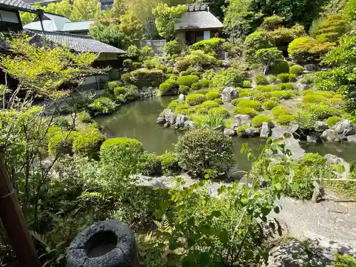 等持院の庭園