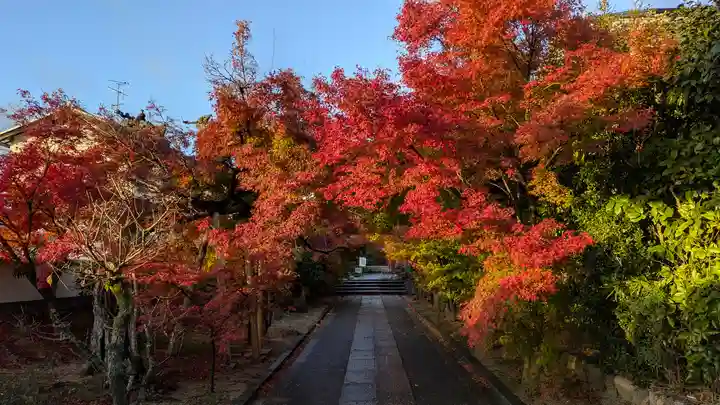 真宗院(京都府)