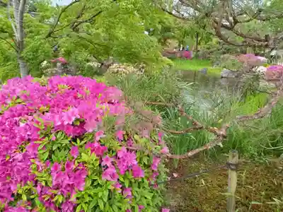 蓮華王院（三十三間堂）(京都府)