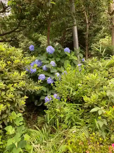 布多天神社の自然