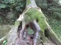 笠森寺の自然