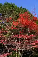 滑川神社 - 仕事と子どもの守り神の自然