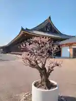 蓮華王院(三十三間堂)(京都府)