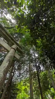 愛宕神社（阿多古神社）(京都府)