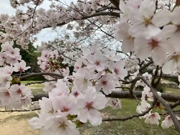 貴船神社(岡山県)
