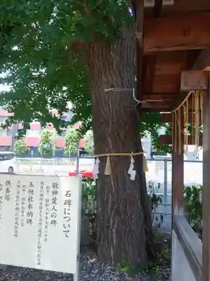 庚申神社(埼玉県)