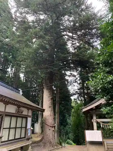儛草神社のその他建物