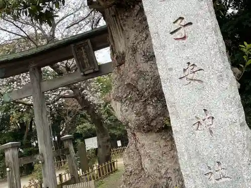 畑子安神社の鳥居