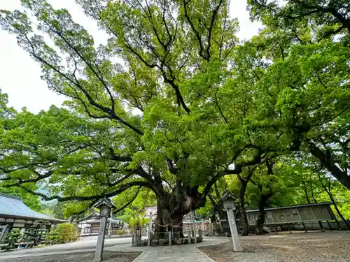 大麻比古神社(徳島県)
