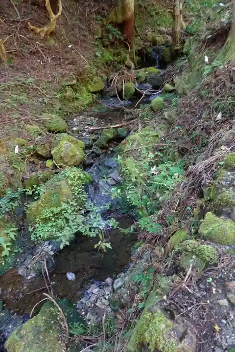 古知谷阿弥陀寺の自然