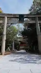 大山祇神社(愛媛県)