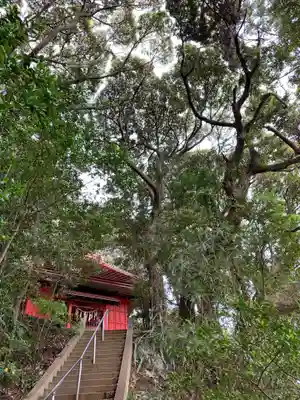 熊野神社の本殿・本堂