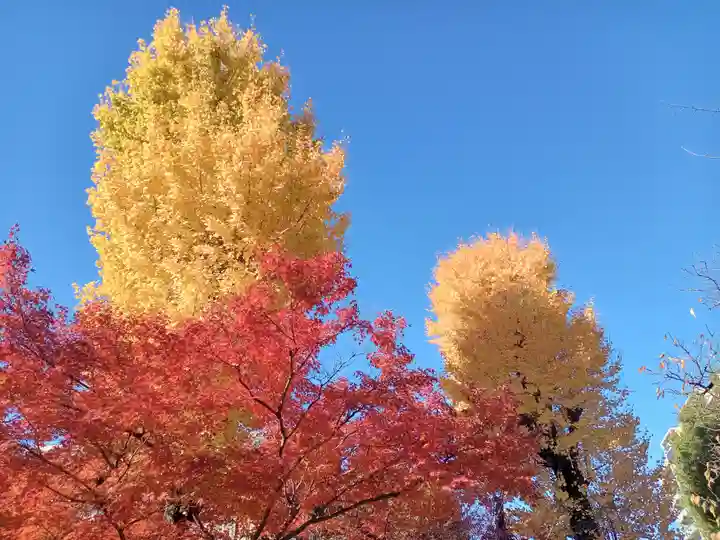 四天王寺(大阪府)