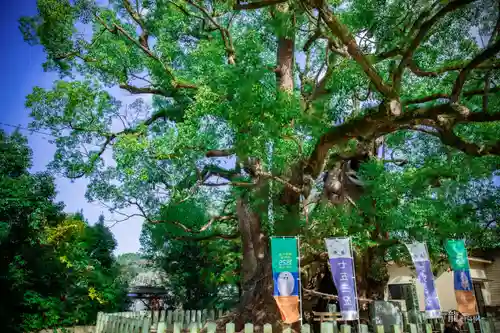 宇美八幡宮(福岡県)