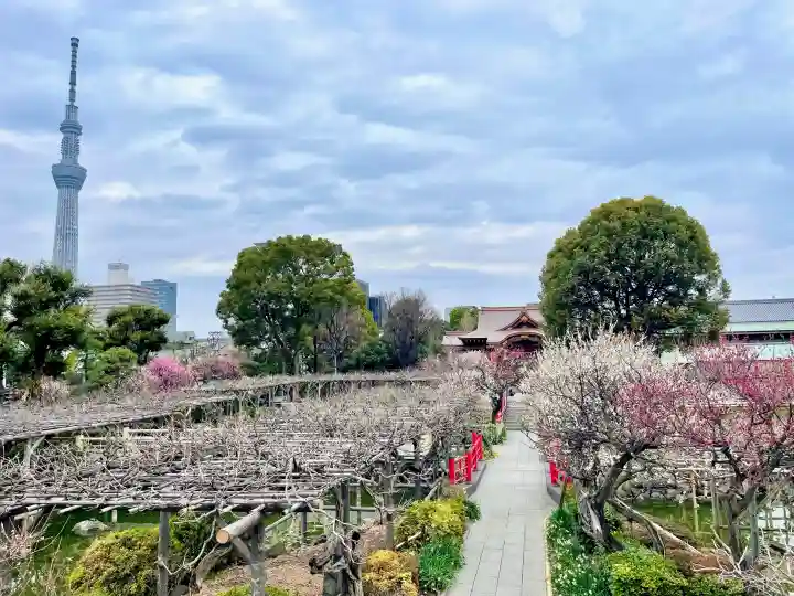 亀戸天神社の{uncategorized: "未分類", other: "その他", undefined: "問題あり", building: "その他建物", grave: "お墓", sacred_gate: "鳥居", guardian: "狛犬", statue: "像", buddha: "仏像", history: "歴史", nature: "自然", garden: "庭園", animal: "動物", pagoda: "塔", temizu: "手水舎", mountain_gate: "山門・神門", sanctuary: "本殿・本堂", subordinate: "末社・摂社", art: "芸術", scenery: "景色", jizo: "地蔵", ema: "絵馬", goshuin: "御朱印", omikuji: "おみくじ", items: "授与品その他", amulet: "お守り", goshuincho: "御朱印帳", eats: "食事", festival: "お祭り", votive_dance: "神楽", shichigosan: "七五三参", wedding: "結婚式", experience: "体験その他", initially: "初詣", around: "周辺", anti_infection: "感染症対策"}