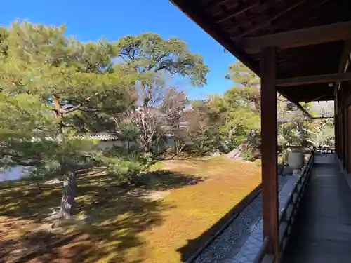 相国寺（相国承天禅寺）(京都府)