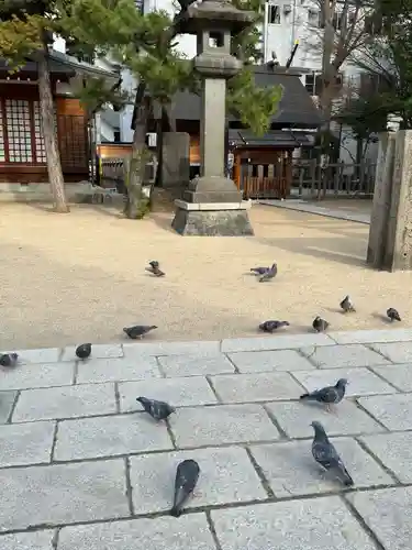 四柱神社(長野県)