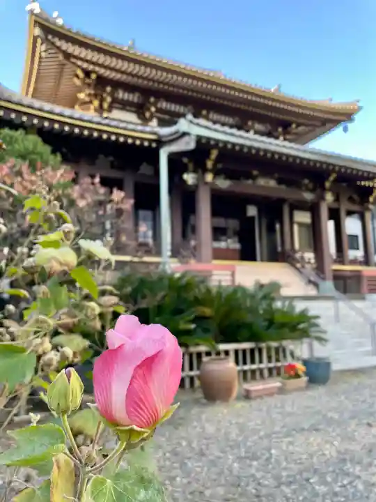 浄土宗南命山善光寺(東京都)