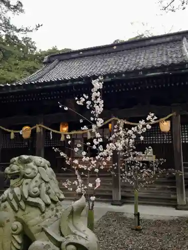 石浦神社(石川県)