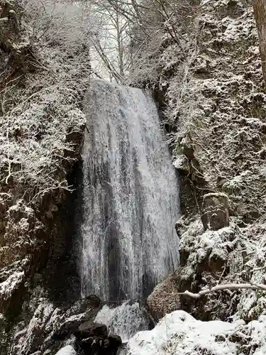 桜松神社の自然