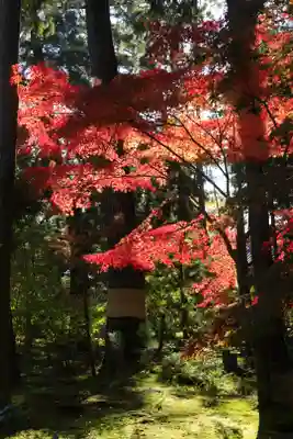 唐招提寺(奈良県)