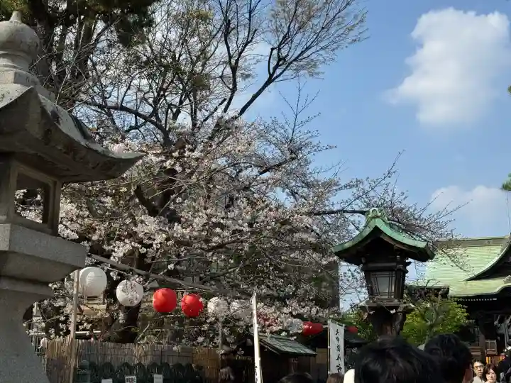 桜神宮の{uncategorized: "未分類", other: "その他", undefined: "問題あり", building: "その他建物", grave: "お墓", sacred_gate: "鳥居", guardian: "狛犬", statue: "像", buddha: "仏像", history: "歴史", nature: "自然", garden: "庭園", animal: "動物", pagoda: "塔", temizu: "手水舎", mountain_gate: "山門・神門", sanctuary: "本殿・本堂", subordinate: "末社・摂社", art: "芸術", scenery: "景色", jizo: "地蔵", ema: "絵馬", goshuin: "御朱印", omikuji: "おみくじ", items: "授与品その他", amulet: "お守り", goshuincho: "御朱印帳", eats: "食事", festival: "お祭り", votive_dance: "神楽", shichigosan: "七五三参", wedding: "結婚式", experience: "体験その他", initially: "初詣", around: "周辺", anti_infection: "感染症対策"}