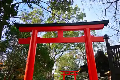 賀茂御祖神社（下鴨神社）(京都府)