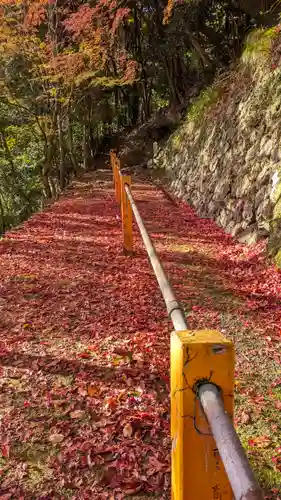 善峯寺(京都府)