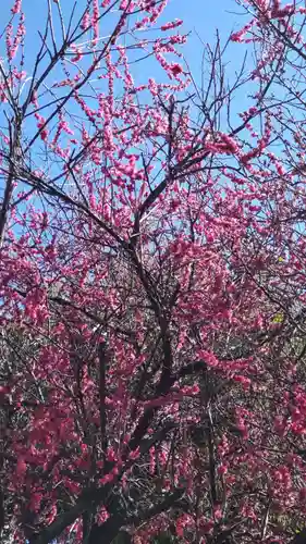 養願寺(東京都)
